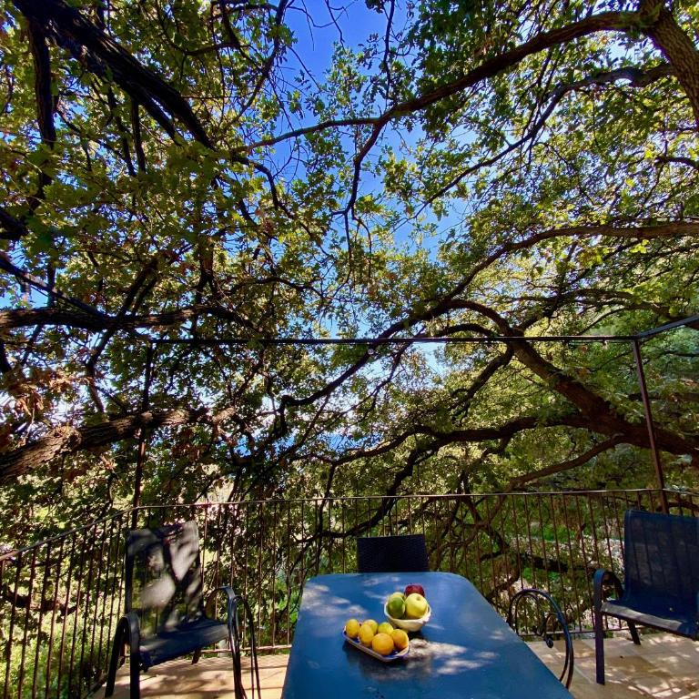 Villa Don Giovanni Taormina Mare - Casa Vacanze - 21