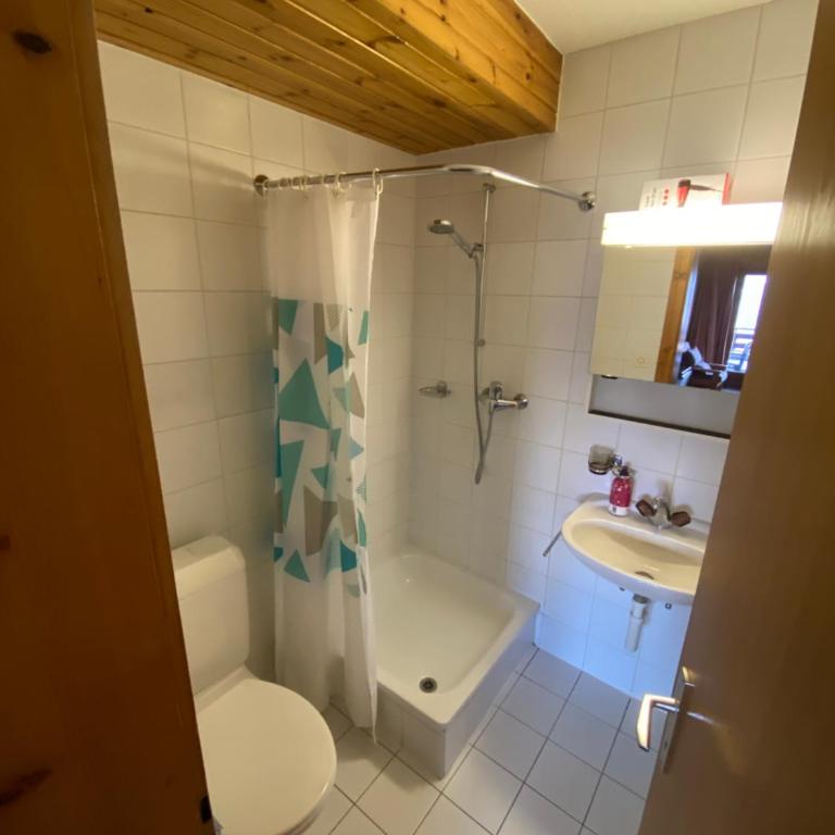 Studios Bellevue 1 et 2, ski lift 150m - Monolocale con Vista Montagna - 4