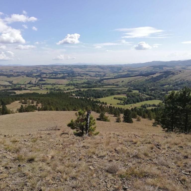 Ruza vetrova - Kuća sa 1 Spavaćom Sobom - 16