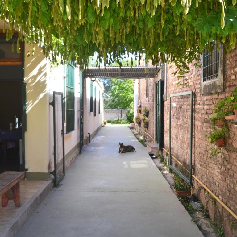 B&B Garden Atelier - Estudio Estándar - 15