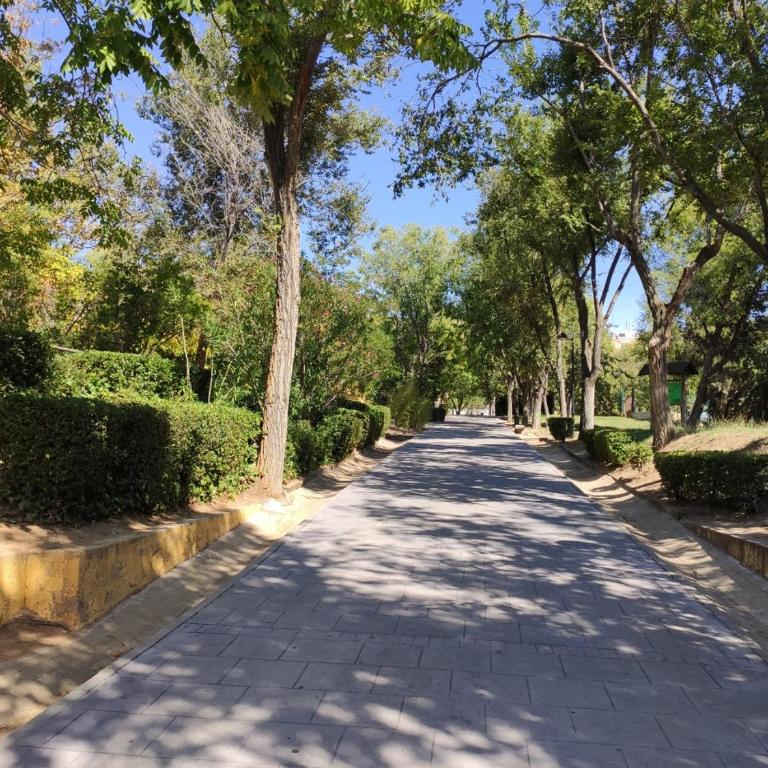 Apartamento Rosa Park - Apartamento de 3 dormitorios - 16