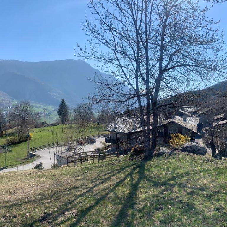 Bilocale pietra e legno immerso nella natura - Apartment mit 1 Schlafzimmer - 22