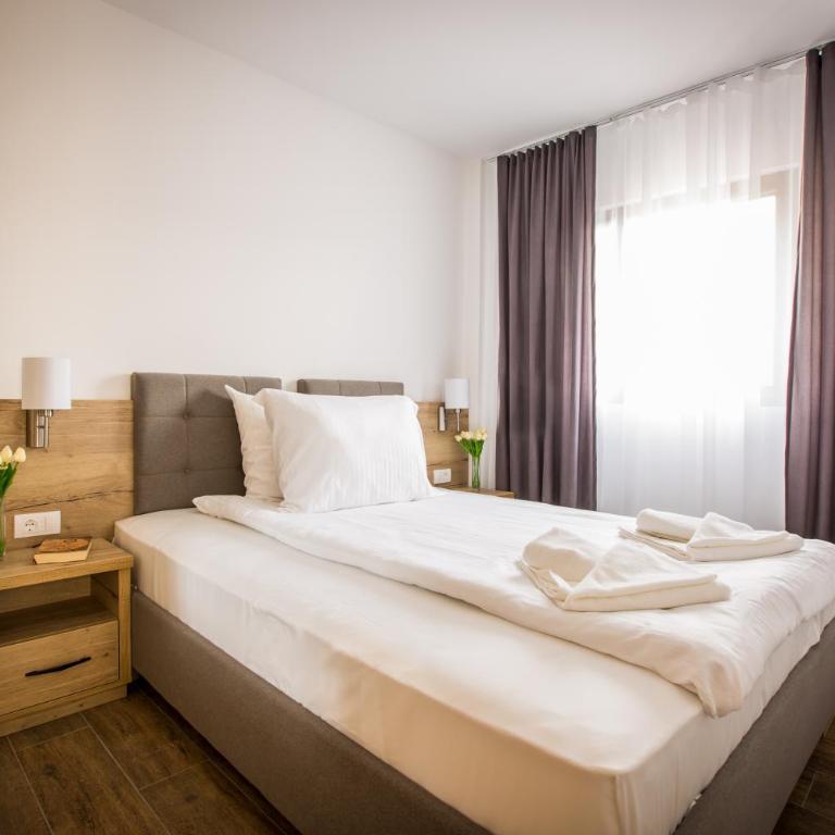SREBRNA PLANINA Spa & Resort - One-Bedroom Apartment with Free Spa Access - 4
