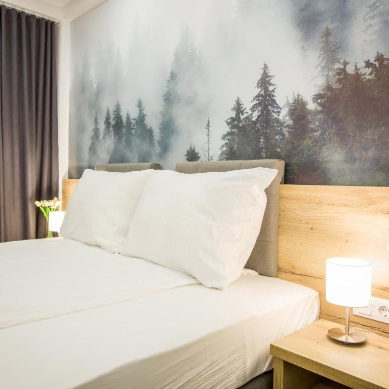SREBRNA PLANINA Spa & Resort - Deluxe Double Room with Free Spa Access - 4