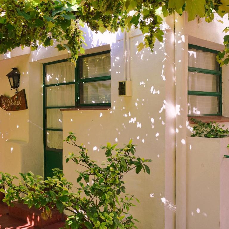 La Casa de Don Pepe - Alojamiento El Parral - 13