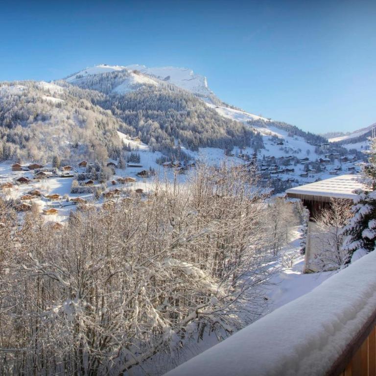 Chalet Cosyneige - OVO Network - Chalet - 26