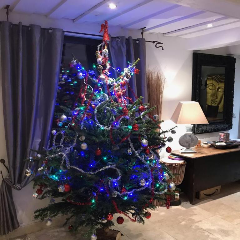 CHALET FAMILIAL AURON - Chalet - 47