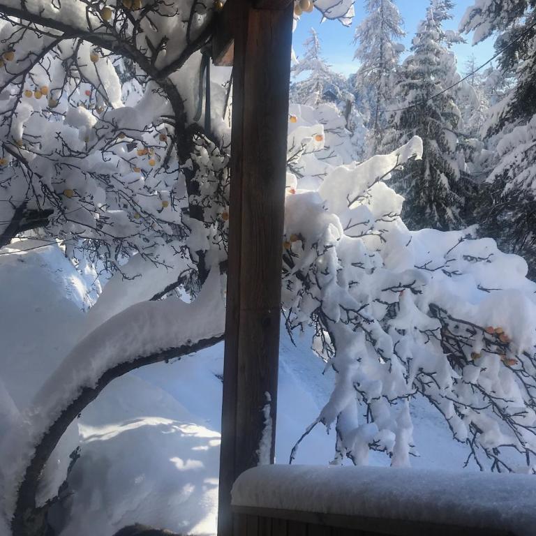 CHALET FAMILIAL AURON - Chalet - 5