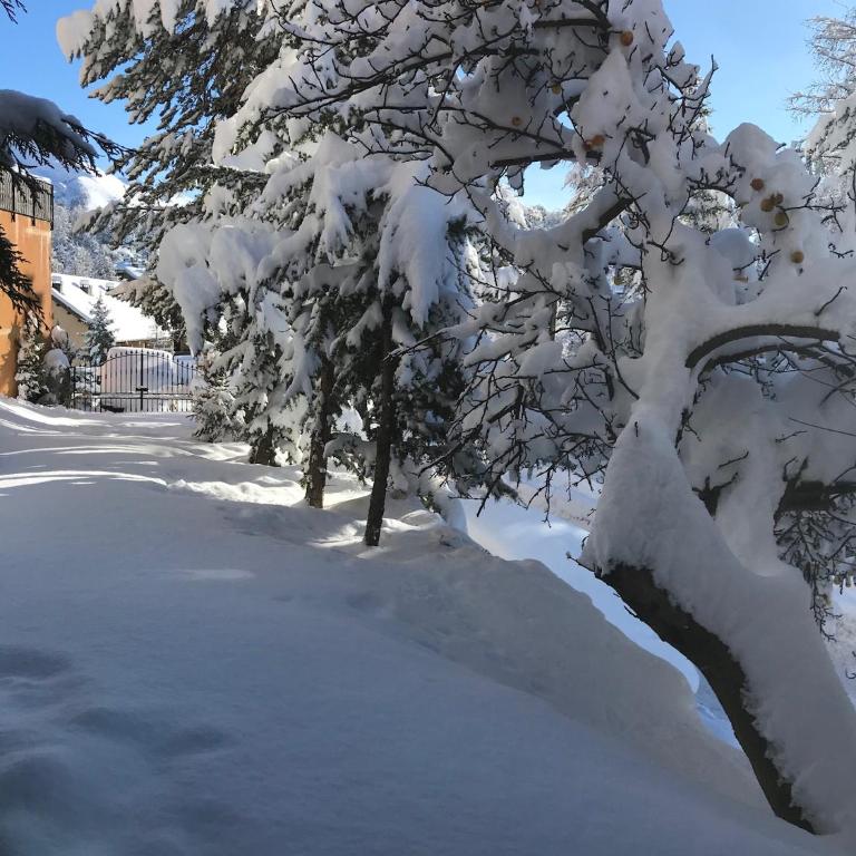 CHALET FAMILIAL AURON - Chalet - 4