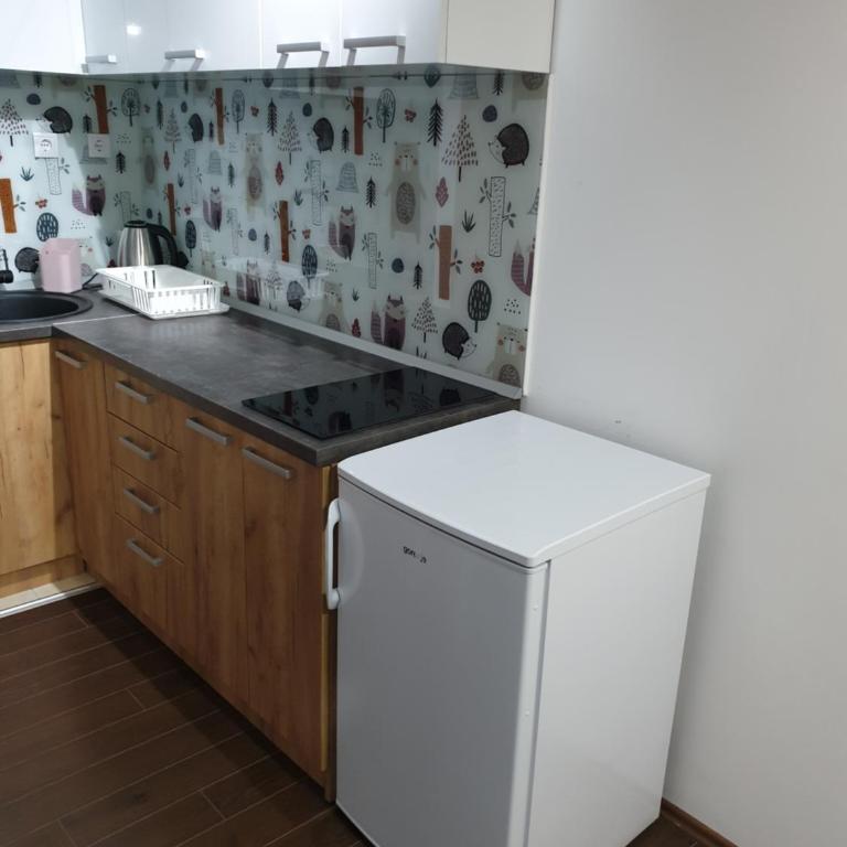 Apartman Lisica 24 - One-Bedroom Apartment - 5