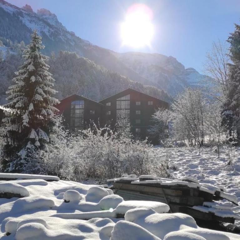 Aparthotel Mountain River Resort - Studio-Apartment - 9