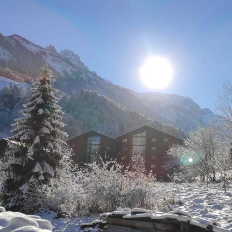 Aparthotel Mountain River Resort - Studio-Apartment - 6