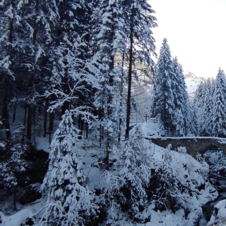 Aparthotel Mountain River Resort - Studio-Apartment - 10