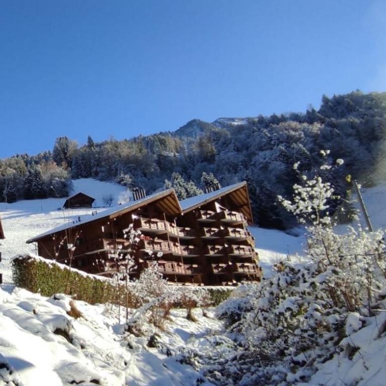 Aparthotel Mountain River Resort - Studio-Apartment - 4