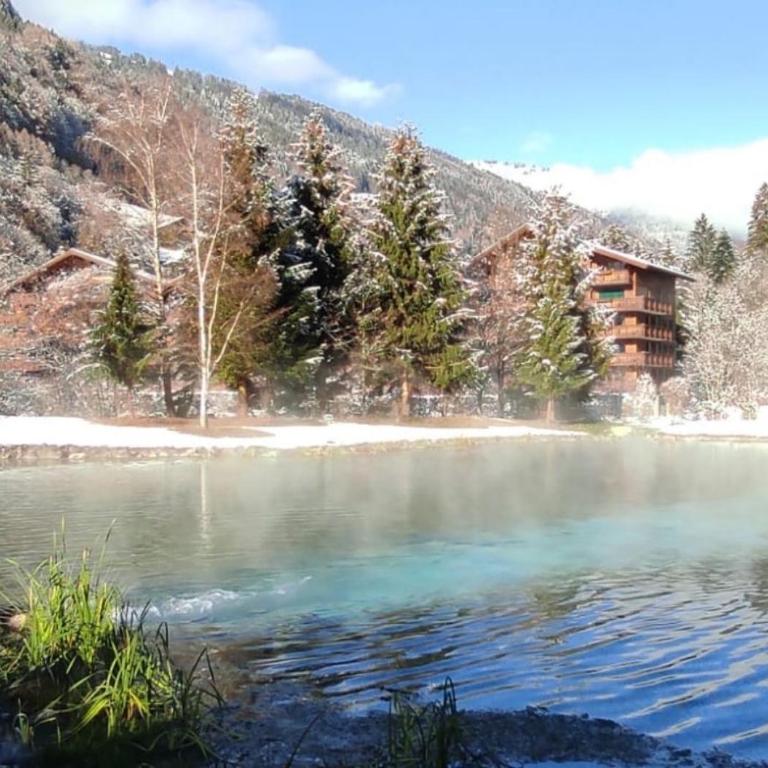 Aparthotel Mountain River Resort - Studio-Apartment - 11