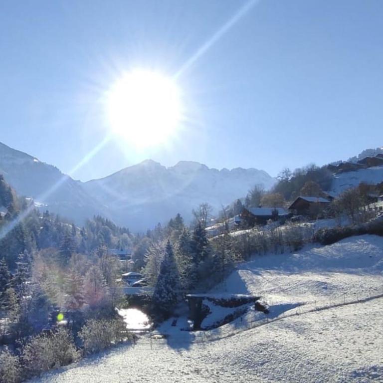 Aparthotel Mountain River Resort - Studio-Apartment - 3