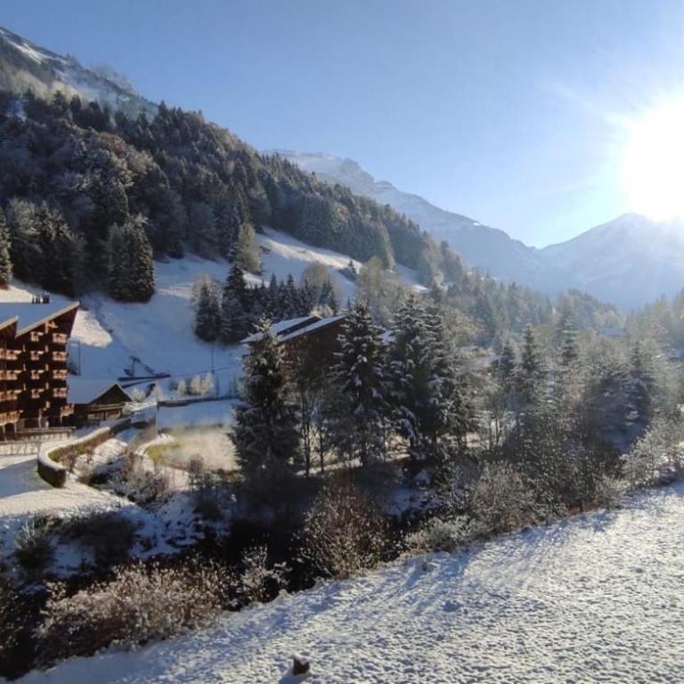 Aparthotel Mountain River Resort - Studio-Apartment - 14