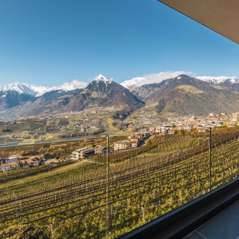 Dornsberg Panoramic Apartments - Appartamento Superior - 5