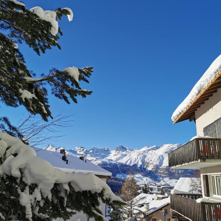 Ferienwohnung Pontresina - Chesa Andrea - Gartensitzplatz - Apartment mit 3 Schlafzimmern - 25