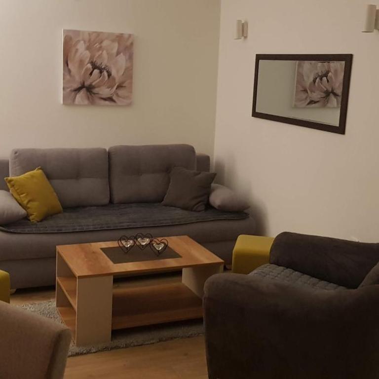Apartman Mina Divcibare - Apartman sa 1 Spavaćom Sobom - 4