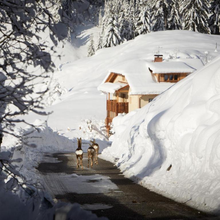 Sotciastel Exclusive Chalet in Alta Badia - Chalet - 4