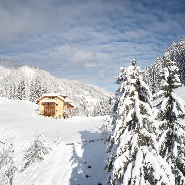 Sotciastel Exclusive Chalet in Alta Badia - Chalet - 52