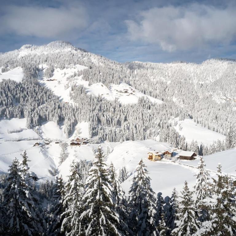 Sotciastel Exclusive Chalet in Alta Badia - Chalet - 53