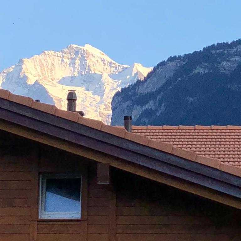 S&P Mountain View Apartment 1 - Apartment mit 1 Schlafzimmer - 1