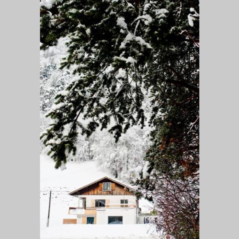 Appartement nature - Apartamento de 2 dormitorios - 14
