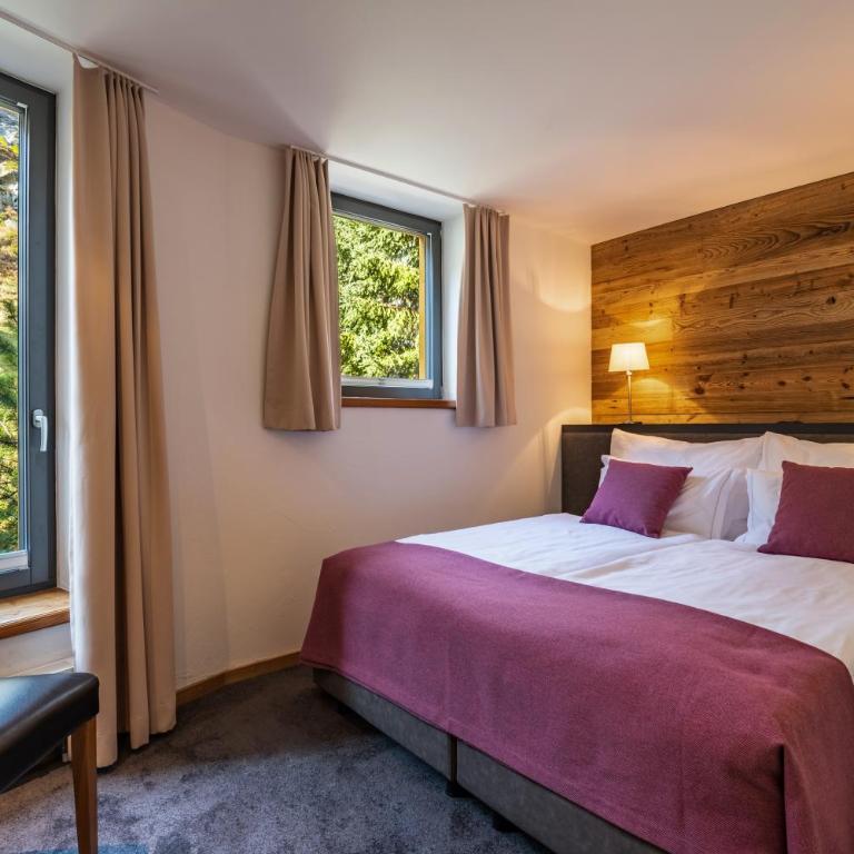 22 Summits Apartments - Superior Studio - 1