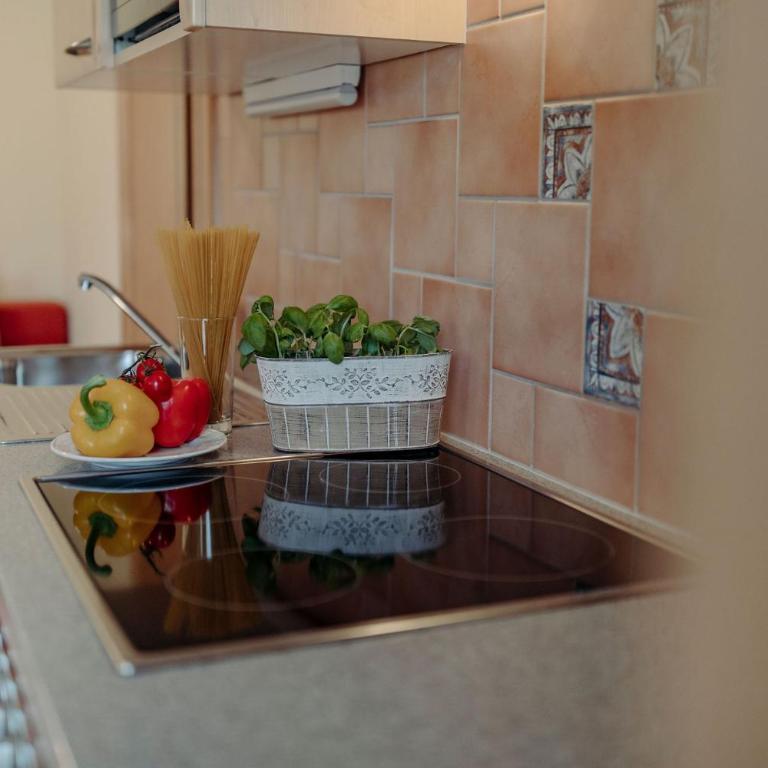 4 Mountains Apartments - Appartamento con Vista Montagna - 15