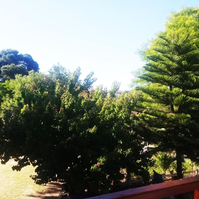 Garden House, Gesell - Two-Bedroom Apartment - 5
