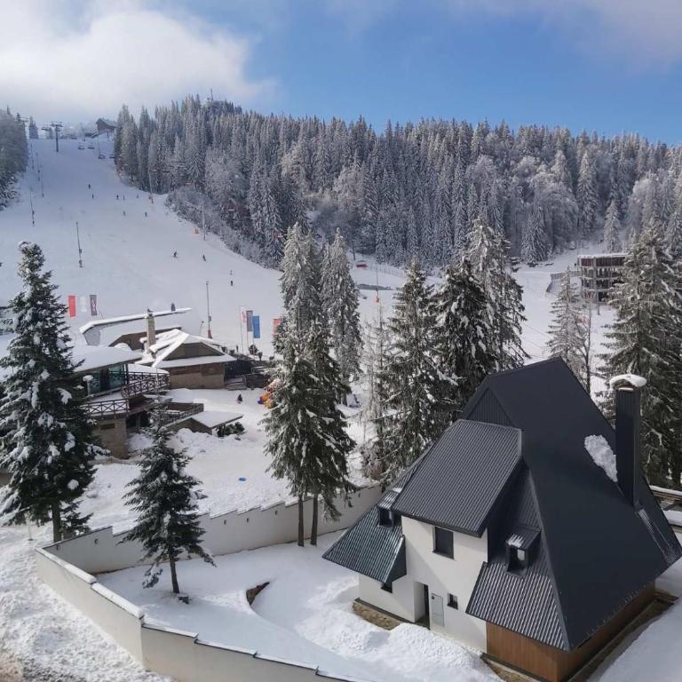 OLIMPIJSKA KUCA-Planinska Avantura - One-Bedroom Apartment - 15