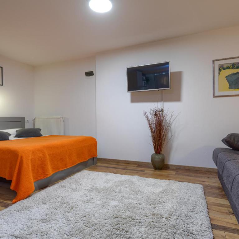 Vila Aleksandra - Studio Apartman - 3