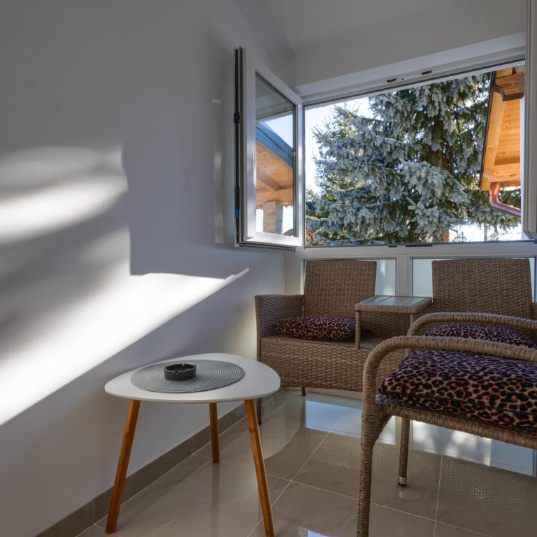 Vila Aleksandra - Apartman sa 1 Spavaćom Sobom - 5