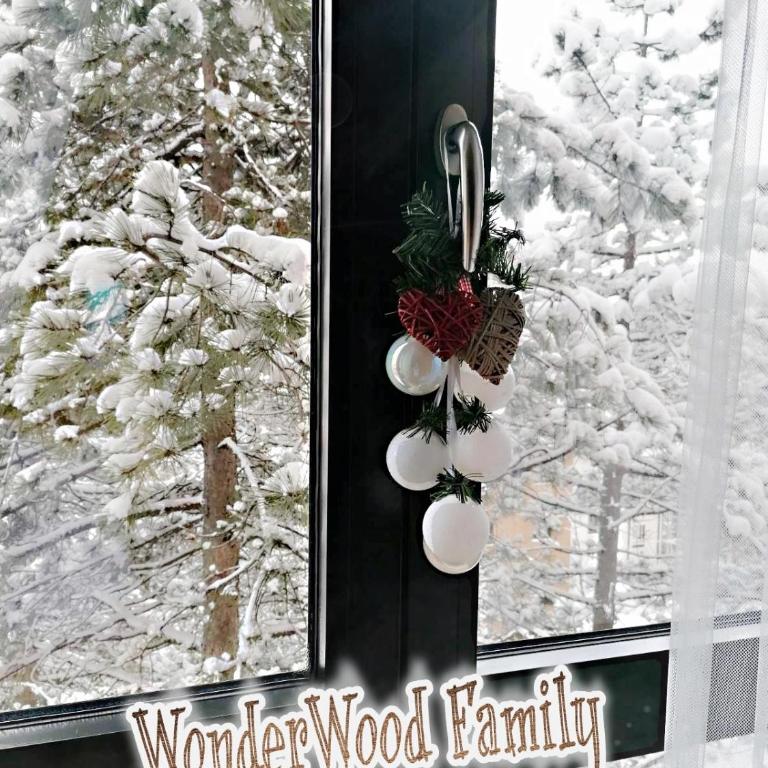 WonderWood Family Apartment - Apartman sa 1 Spavaćom Sobom - 8