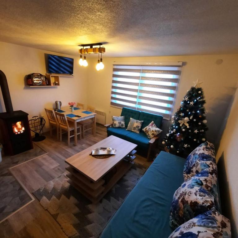 Deda Simina vikendica - One-Bedroom House - 1