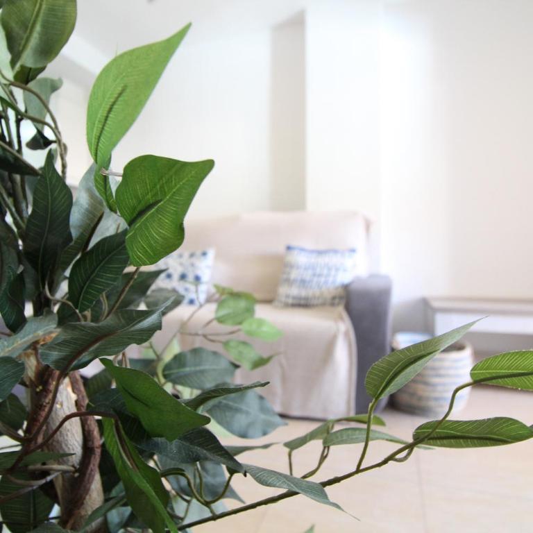 Global Vacacional, Apartamento en la playa de Canet d'en Berenguer - Apartment mit Poolblick - 13