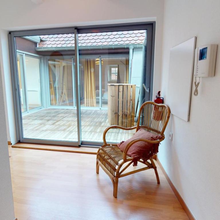 COLMARAPPART Grand'Rue - Appartamento con Terrazza - 15