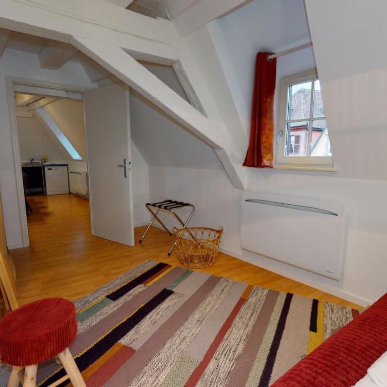 COLMARAPPART Grand'Rue - Appartamento con Terrazza - 7