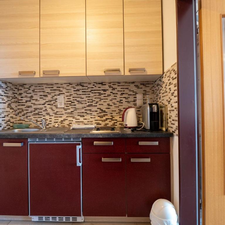 Seenahe Boutique-FeWo Lindau-Lotzbeckpark Marlene - One-Bedroom Apartment - 7