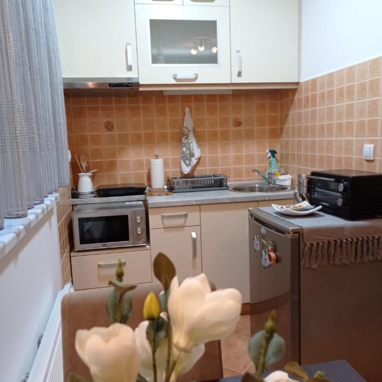Apartman Harmonija Vrnjačka Banja - Apartman - 36