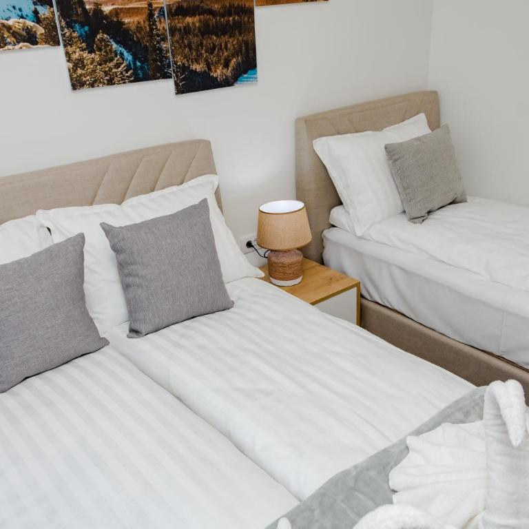 Apartman Amsterdam Jahorina - One-Bedroom Apartment - 2