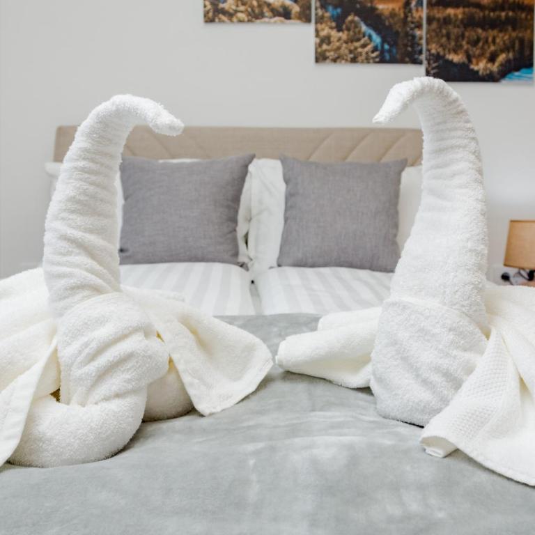 Apartman Amsterdam Jahorina - One-Bedroom Apartment - 24