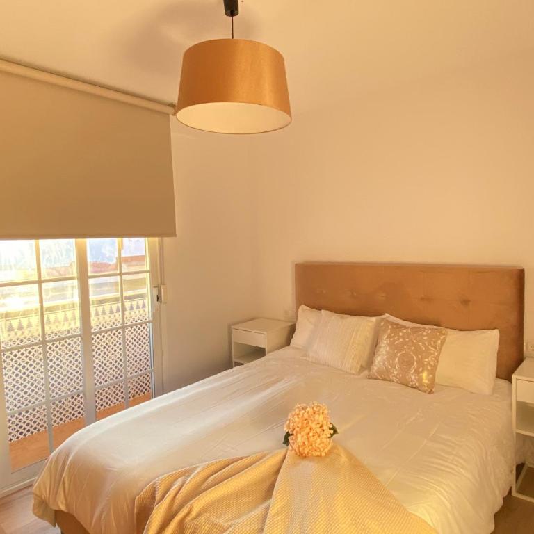 Apartamentos palangreros - Apartamento de 2 dormitorios - 26