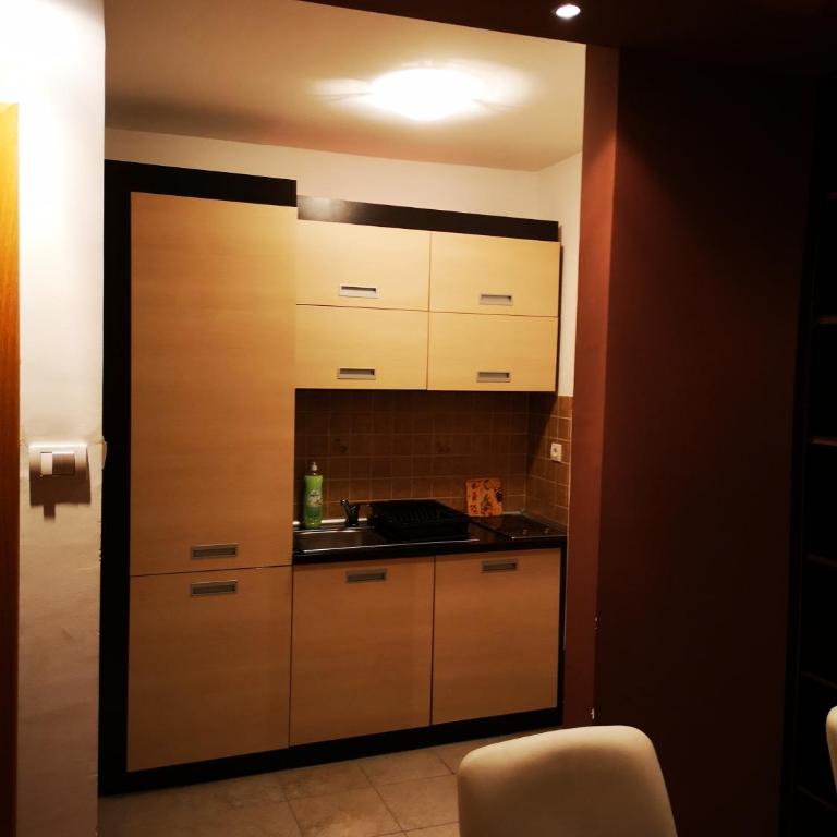Apartman 104 lux Zoned Kopaonik - Apartman - 6