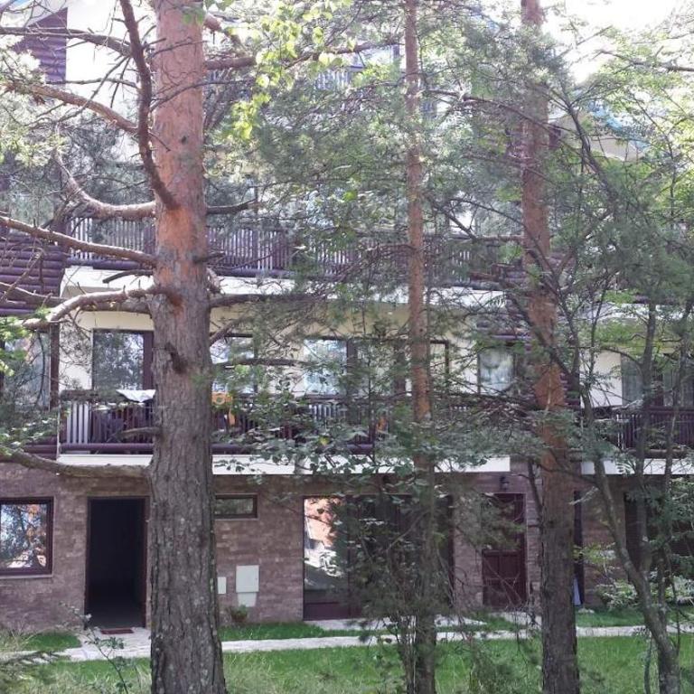 Apartman Lisica 24 - One-Bedroom Apartment - 21
