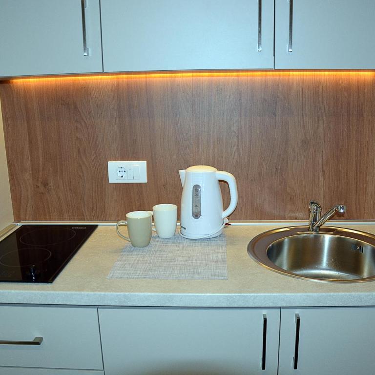 Apartman SREBRNA PAHULjA-Konaci - Studio - 12