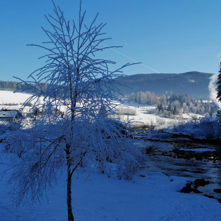 Chalet Taurachblick - Haus mit 2 Schlafzimmern - 67