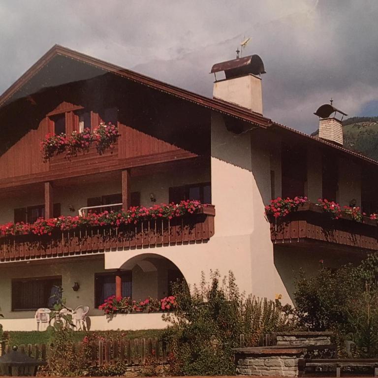 Haus Pfalzen - Casa Falzes - Appartamento Monolocale - 1